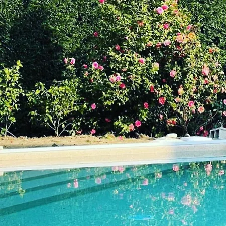 Jejia- Pool And Garden Apartman Lesa